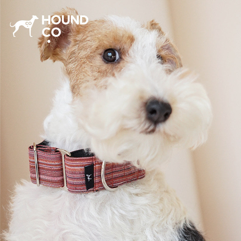 Woven Stripe | Yarn-Dyed Martingale Dog Collar