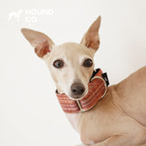 Yarn-Dyed Striped Martingale Dog Collar dog product view 05