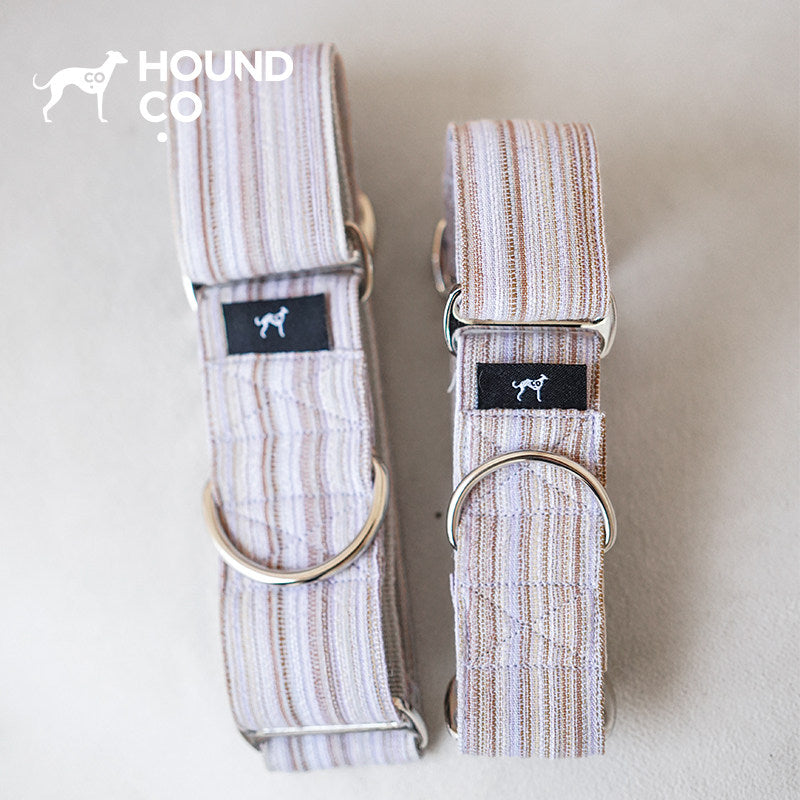 Yarn-Dyed Striped Martingale Dog Collar dog product view 06