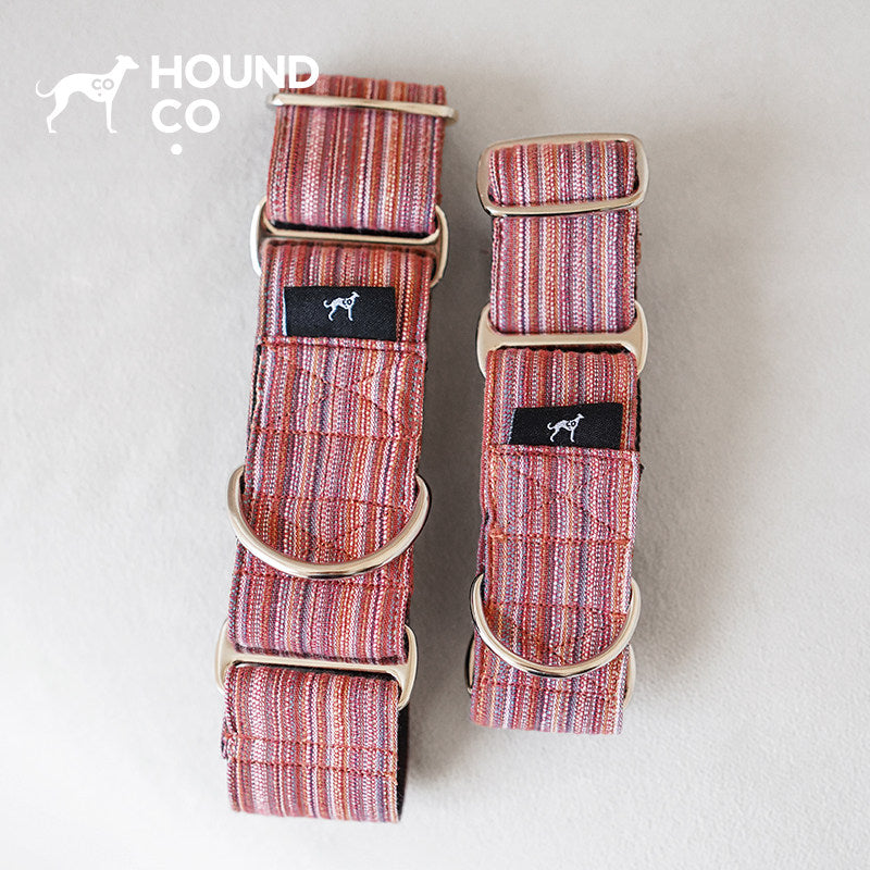 Yarn-Dyed Striped Martingale Dog Collar dog product view 07