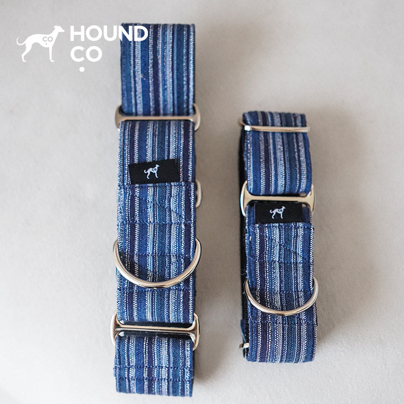 Yarn-Dyed Striped Martingale Dog Collar dog product view 09